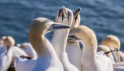 爱游戏智能平台-高校篮球推广体能恢复课程延长运动员竞技寿命，高校篮球现状