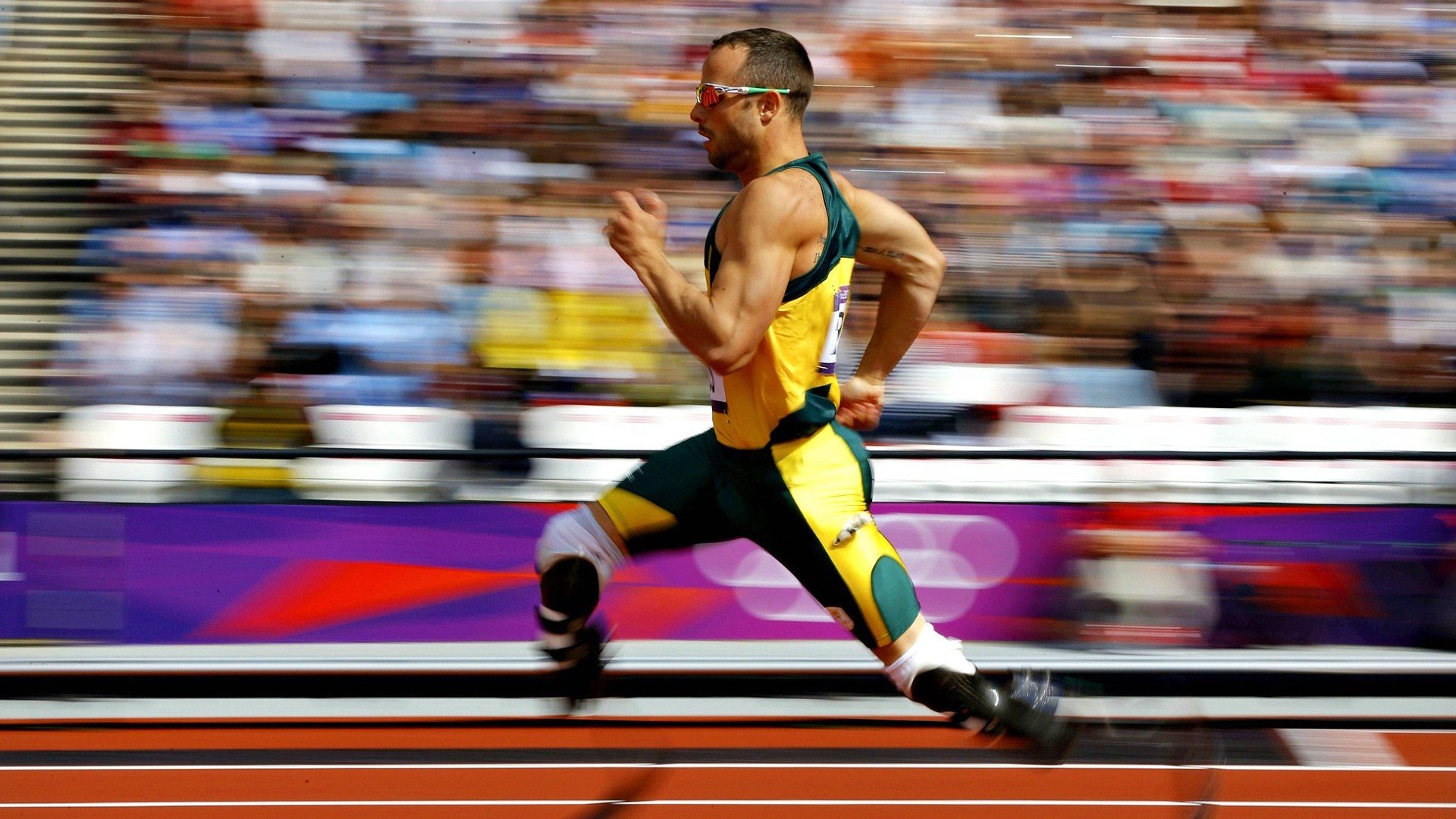 爱游戏体育-田径运动体能评估体系优化实施，田径 体能